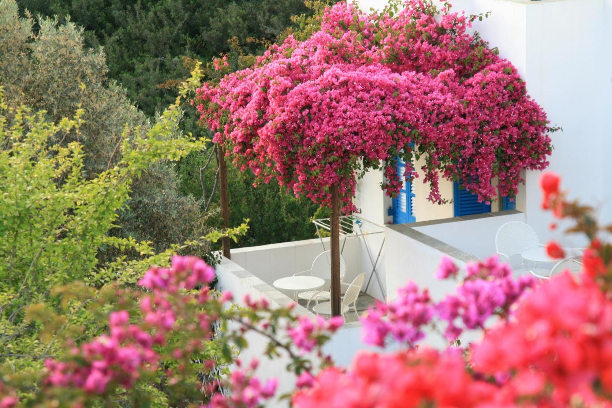 Alexandros Hotel Platis Gialos  Екстериор снимка